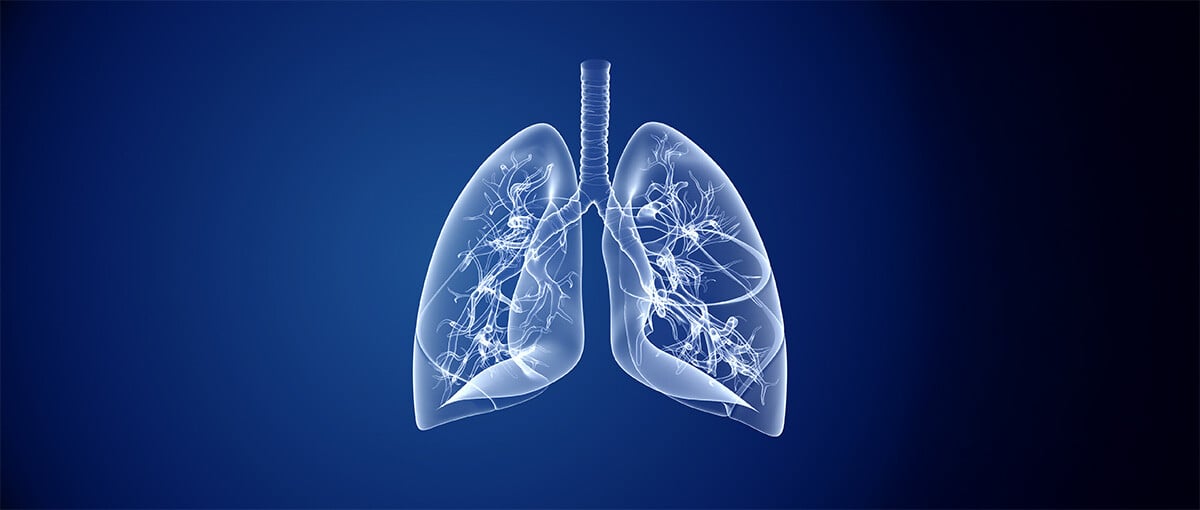 lungs